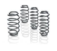 EIBACH E10-25-033-01-22 Suspension kit, coil springs