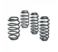 EIBACH E10-25-036-04-22 Suspension kit, coil springs