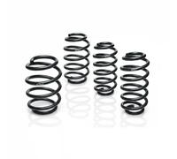 EIBACH E10-84-010-01-22 Suspension kit, coil springs