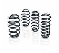 EIBACH E10-20-031-15-22 Suspension kit, coil springs