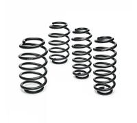 Suspension spring kit with General Operating Permit (ABE) E10-85-022-04-22