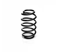 Suspension spring Rear Axle Coil Spring R10112 EIBACH for MERCEDES-BENZ E-CLASS