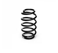 Eibach Coil Spring R10113 - Rear Axle for Smart Cabrio/City-Coupe/Crossblade