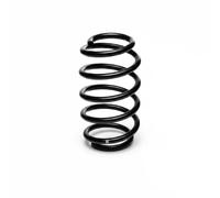 Suspension spring Rear Axle Coil Spring R10114 EIBACH for AUDI A4 B6 A4 B7