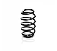 Suspension spring Rear Axle Coil Spring R10143 EIBACH for VW
