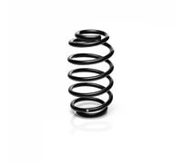 Suspension spring Rear Axle Coil Spring R10209 EIBACH for MERCEDES-BENZ