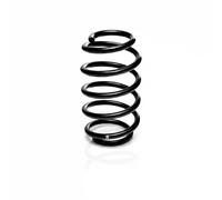 Suspension spring Rear Axle Coil spring with constant wire diameter R10550