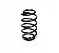 Suspension spring Rear Axle Coil spring with constant wire diameter R10552