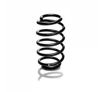 Suspension spring Rear Axle Coil spring with constant wire diameter R10586