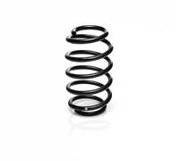 Suspension spring Rear Axle Coil spring with constant wire diameter R10604