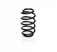 Suspension spring Rear Axle Coil spring with constant wire diameter R10682