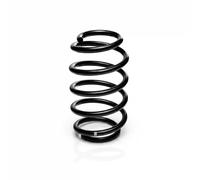 Suspension spring Rear Axle Coil spring with constant wire diameter R10956