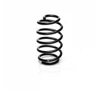 Suspension spring Rear Axle Coil spring with constant wire diameter R11004