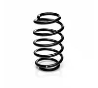 Suspension spring Rear Axle Coil spring with constant wire diameter R11008