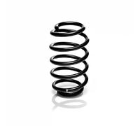 Suspension spring Rear Axle Coil spring with constant wire diameter R11075