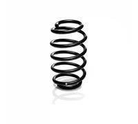 Suspension spring Rear Axle Coil spring with constant wire diameter R12915