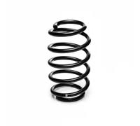 Suspension spring Rear Axle Coil spring with constant wire diameter R15226