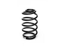 Suspension spring Rear Axle Coil spring with constant wire diameter R20849