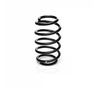Suspension spring Rear Axle Coil spring with constant wire diameter R20883