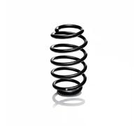 Suspension spring Rear Axle Coil spring with constant wire diameter R22928
