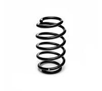 Suspension spring Rear Axle Coil spring with constant wire diameter R22931