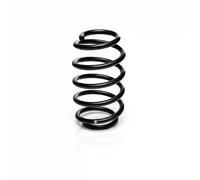 Eibach Coil Spring R22974 Rear Axle Constant Wire Diameter for Audi A4 B9 2.0L 2015-2019