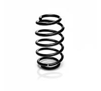 Suspension spring Rear Axle Coil spring with constant wire diameter R23019