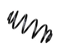 Suspension spring Rear Axle Coil spring with inconstant wire diameter 38-235801