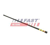 FAST FT13602 Coil spring