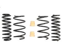 Suspension springs se EIBACH E10-15-021-05-22 for A3 Limousine 2 2013-2020