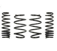 Suspension springs se EIBACH E10-75-012-03-22 for MEGANE III Grandtour 2 2009-