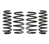 Suspension springs set EIBACH E10-85-014-07-22 for VW GOLF V (1K1) 2 2003-2008