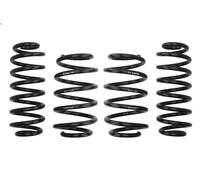 Suspension springs set EIBACH E10-85-014-14-22 for GOLF V Variant (1K5) 2 2007-