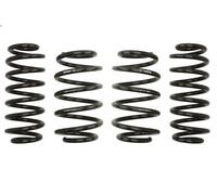 Suspension springs set EIBACH E10-85-031-02-22 for JETTA IV 2 2010-2017