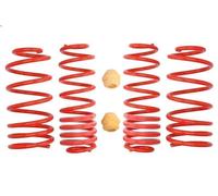 Suspension springs set EIBACH E20-85-001-02-22 for VW BORA I (1J2) 1.9 1998-2005