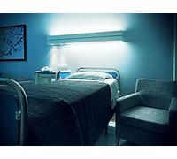 Suspicious Haunting, Shadow Stalker and Christmas Terror