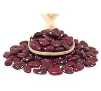 Sussex Wholefoods Organic Red Kidney Beans 1kg