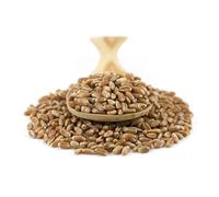 Sussex Wholefoods Organic Wheat Grain 500g: Premium Quality, Versatile Whole Grain