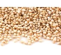 Sussex Wholefoods Quinoa Grain 1kg