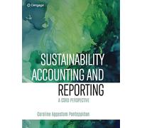 Sustainability Accounting and Reporting: A CSRD Perspective