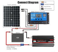 Sustainable Energy Solution 3000W Pure Sine Wave Power Inverter for Various Applications including RVs (12V转220V)