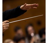 SustVita Concert Conducting Stick Music Conductor Baton Professional Orchestra Baton with Handle (Yellow color)