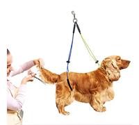 SustVita Dog Grooming Restraint No - Sit Haunch Holder, Adjustable Pet Grooming Leash for Dogs Cats, Wash Choker Grooming Table Arm (Yellow Blue)