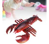 SustVita Outlast Plastic Lobster Decor, Lifelike Non - virulent Lobster Model for Home Decoration and Educational Use (23cm)