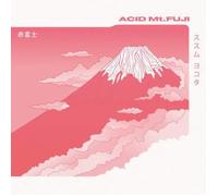 SUSUMU YOKOTA - Acid Mt. Fuji - MDGEM01 - DB12" Vinyl