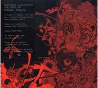 Susumu Yokota - SKINTONE COLLECTION