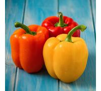 Suttons Pepper (Sweet) Grafted Collection 9cm Pot x 3