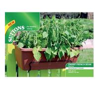 Suttons Seeds Bean (Dwarf French) Mascotte 1 X Seed Packet