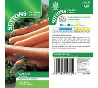 Suttons Seeds Carrot Seed Maestro F1 1 Packet