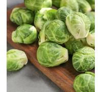 Suttons Seeds Dobies Brussels Sprout Long Island 1 Seed Packet